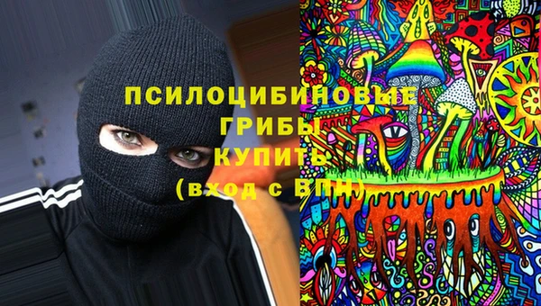 мескалин Горнозаводск