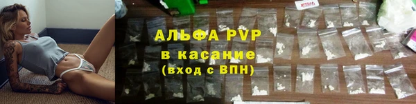 сатива Горно-Алтайск