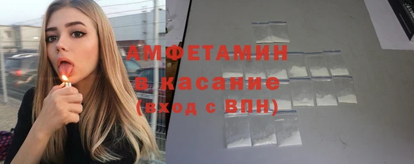 сатива Горно-Алтайск