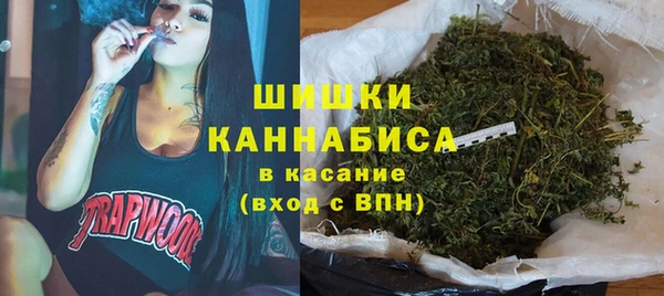 сатива Горно-Алтайск