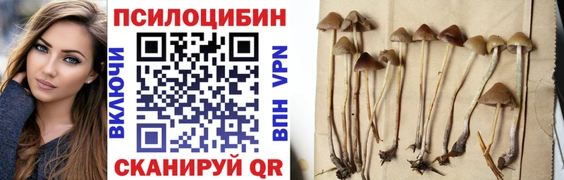Купить где  Арамиль  Галлюциногенные грибы прущие грибы 